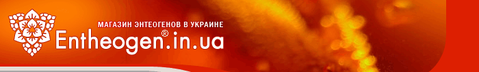 Сума (Pfaffia paniculata) - 50г. - купить -  магазин Entheogen.in.ua